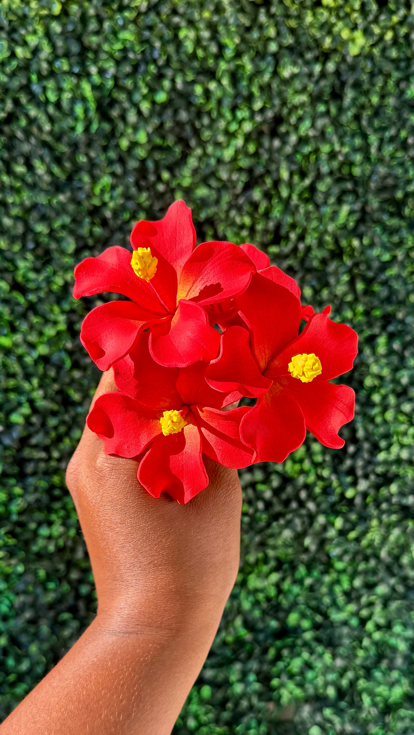Mini Aute Samoa