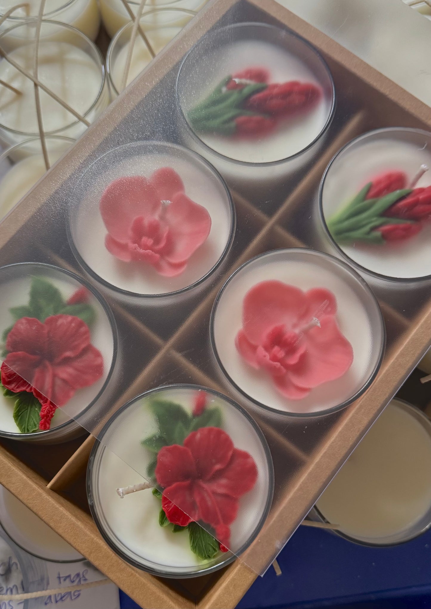 South Seas Scarlets Mini Favor Set ♥️