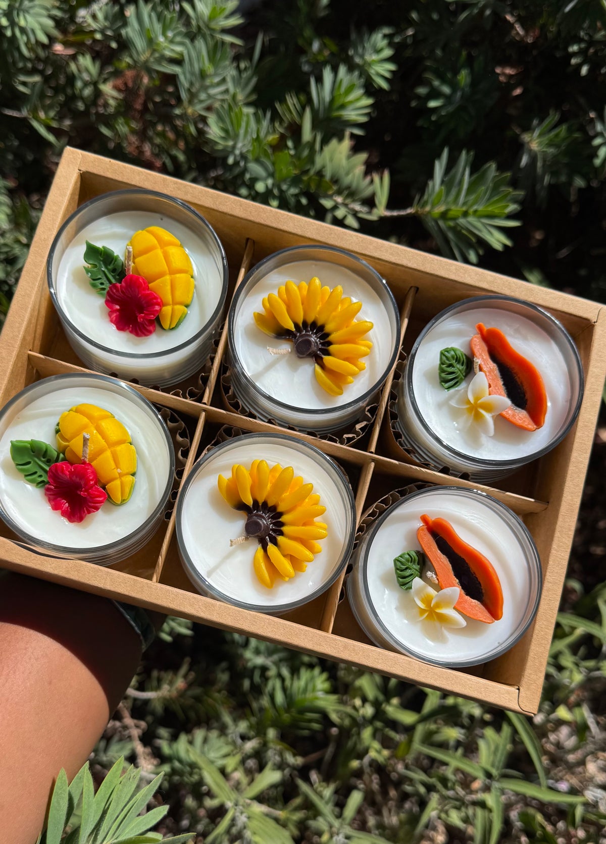 Taste of the Islands Mini Favor Set ✨🥭