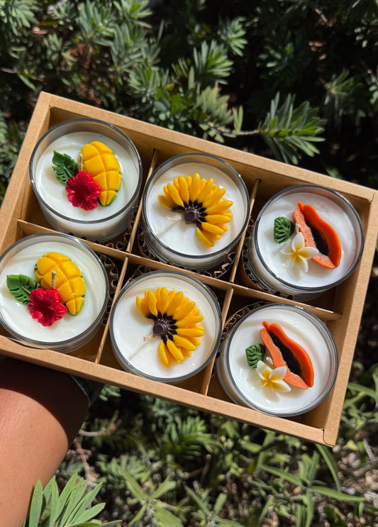 Taste of the Islands Mini Favor Set ✨🥭