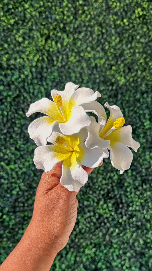Aute Penina