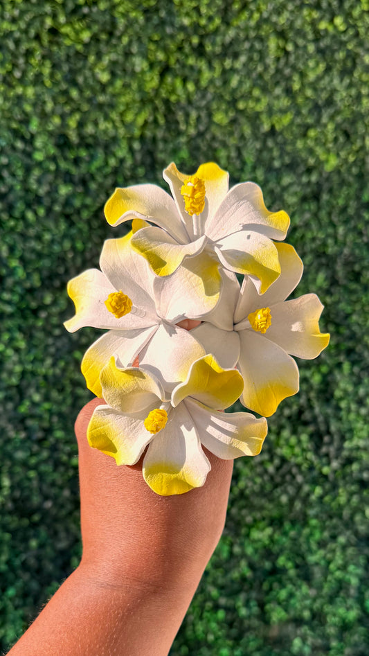 Mini Aute Penina