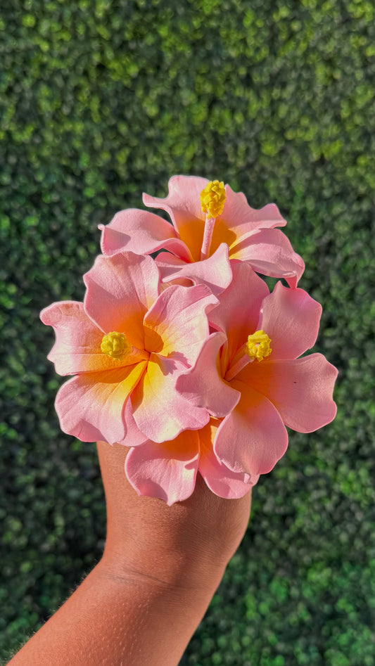 Mini Aute Leilei