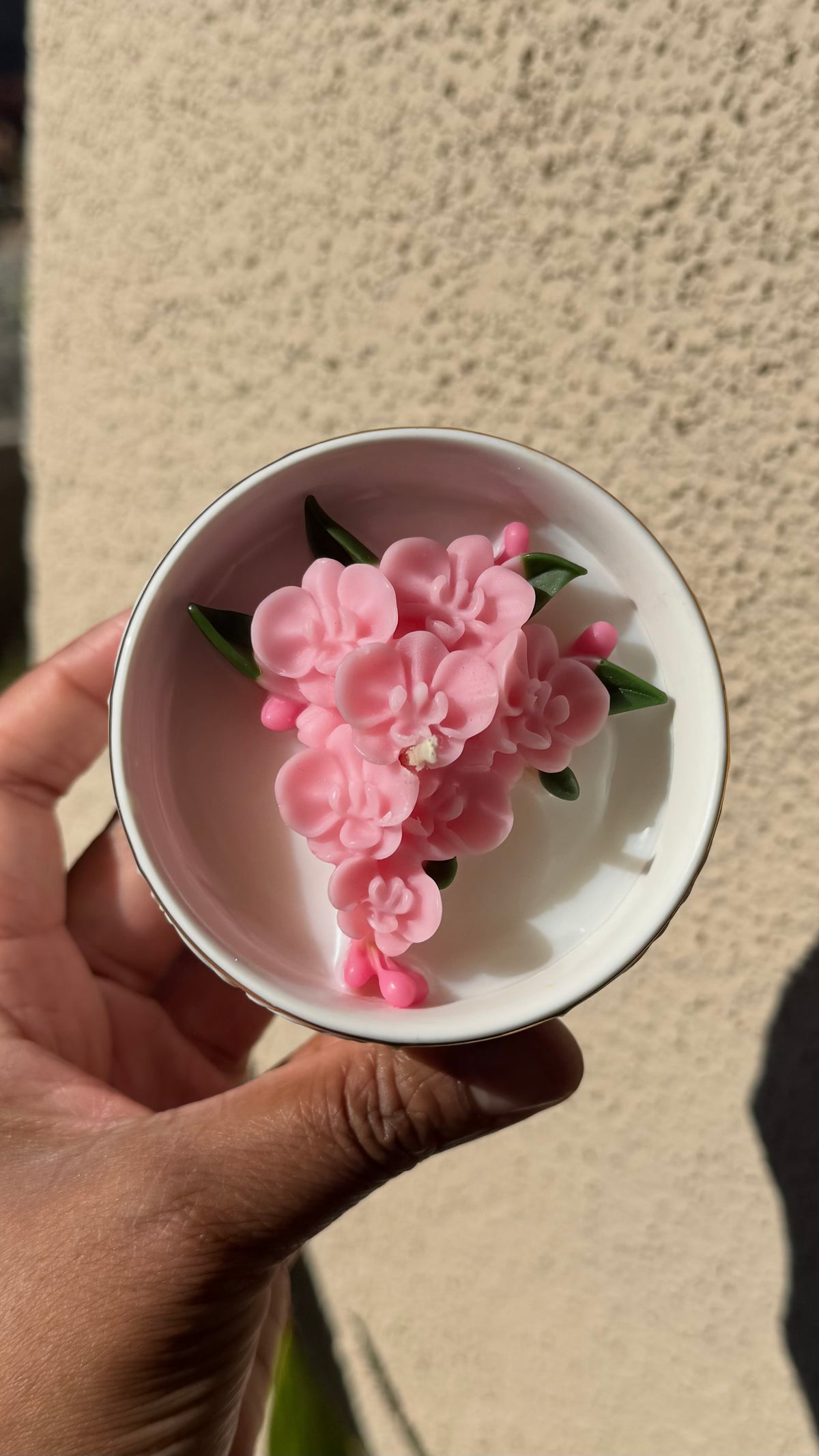 Island Orchid Blooms