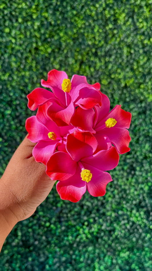 Mini Aute Mele