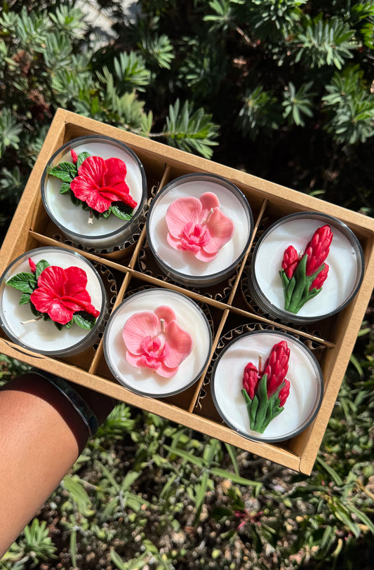 South Seas Scarlets Mini Favor Set ♥️
