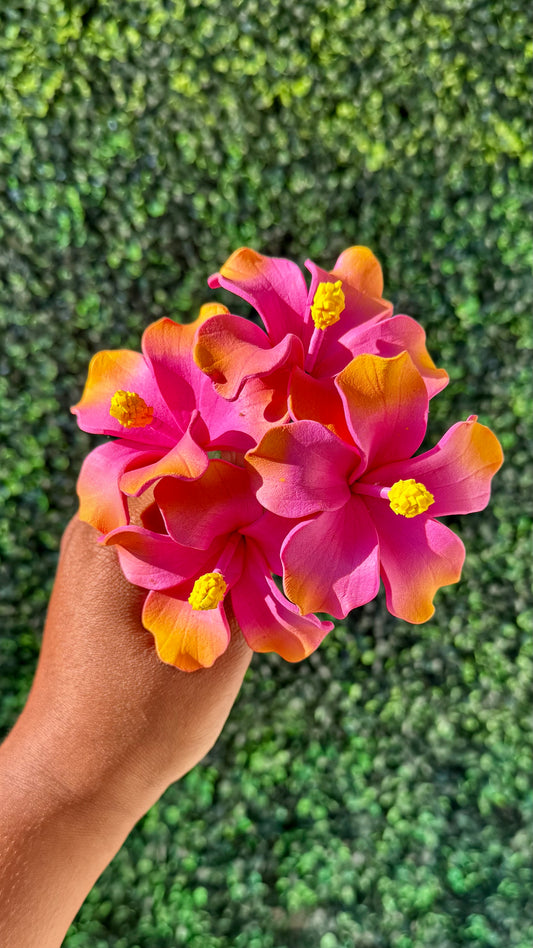 Mini Aute Talei