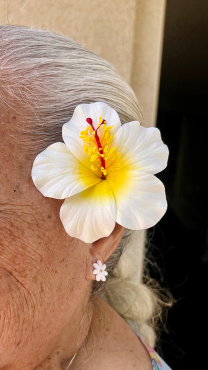 Medium Hibiscus Sei